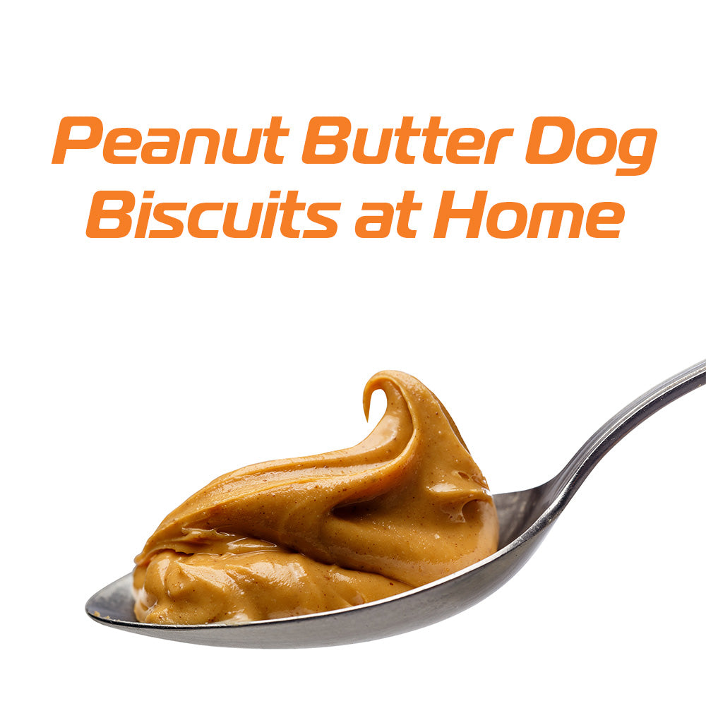 Recipe: Peanut Butter Dog Biscuits at Home