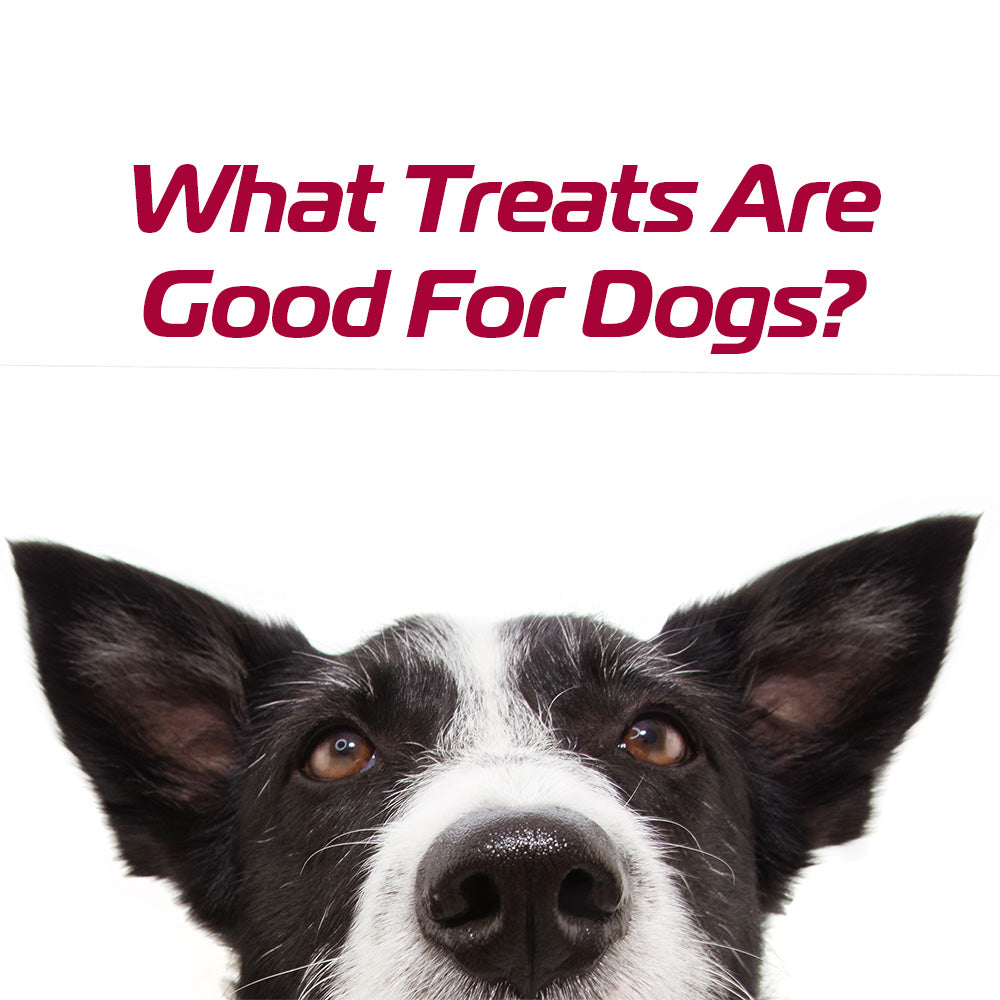 What Treats Are Good For Dogs?